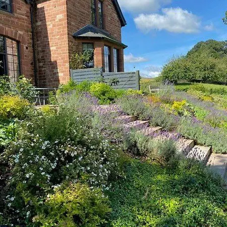 5 Tarn End Luxurious With View To Talkin Tarn, Near Hadrians & The District Vakantiehuis Brampton (Cumbria)